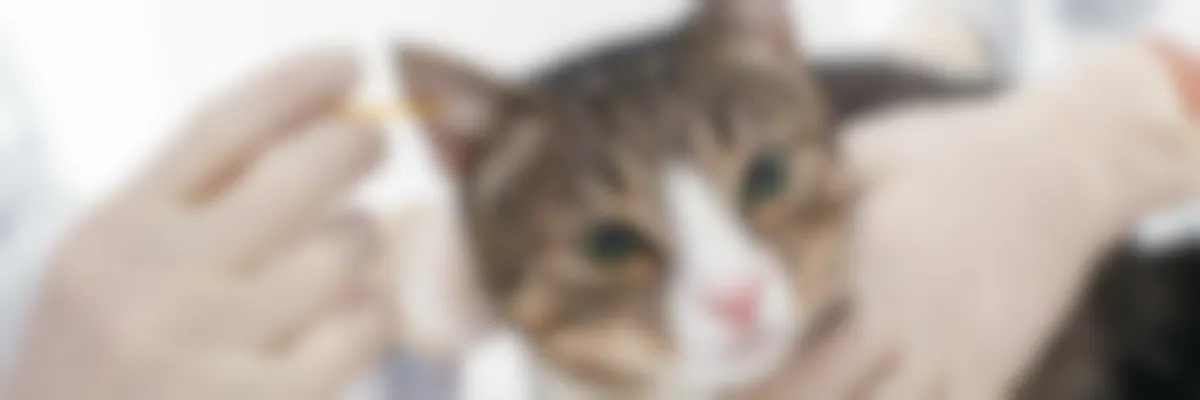 zqqgmtpixz M zqqgmtpixz M