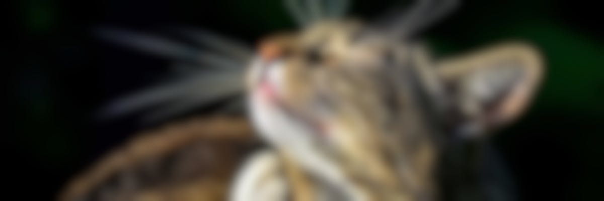 Zgemck5w8gk3bm Zgemck5w8gk3bm