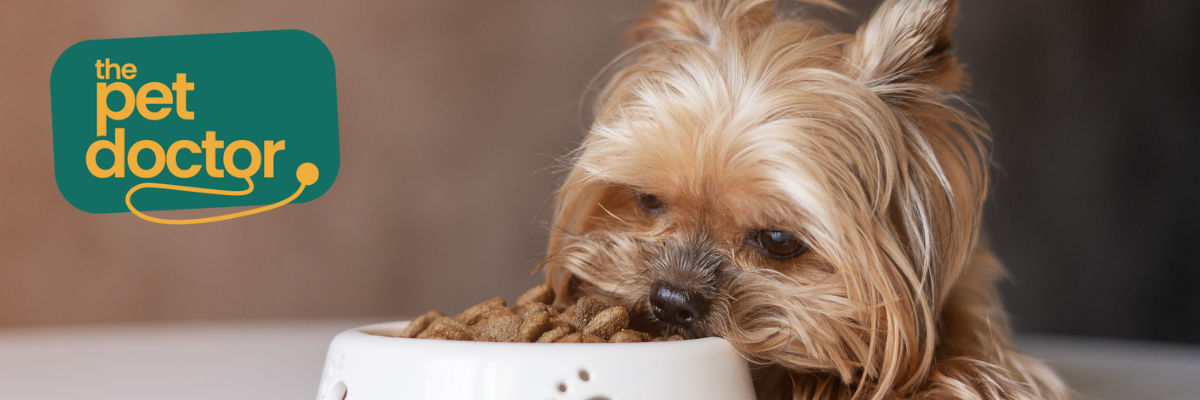 Mijn hond wil zijn brokjes niet meer eten, wat kan ik doen?
