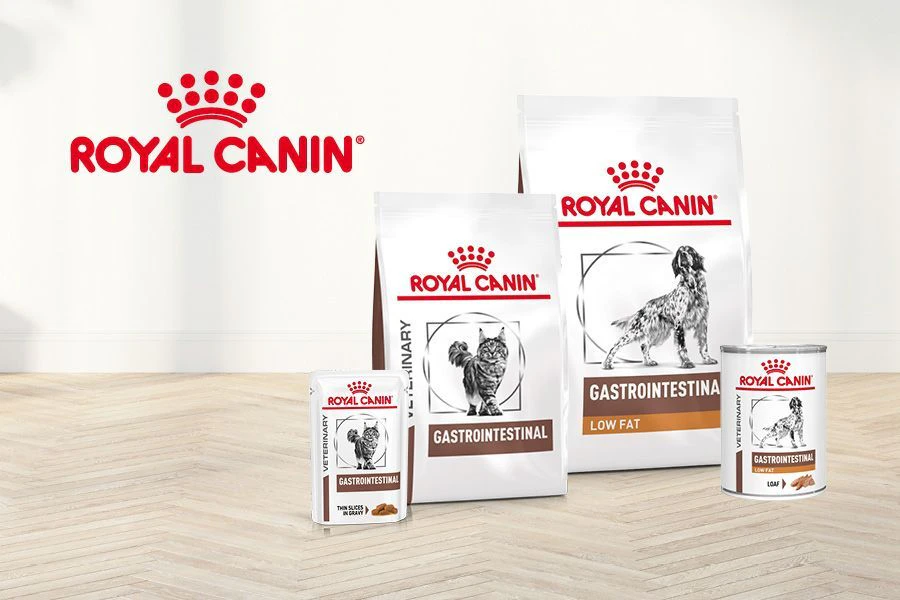 Royal Canin Gastrointestinal: welke voeding past bij een gevoelige maag of darmen? 