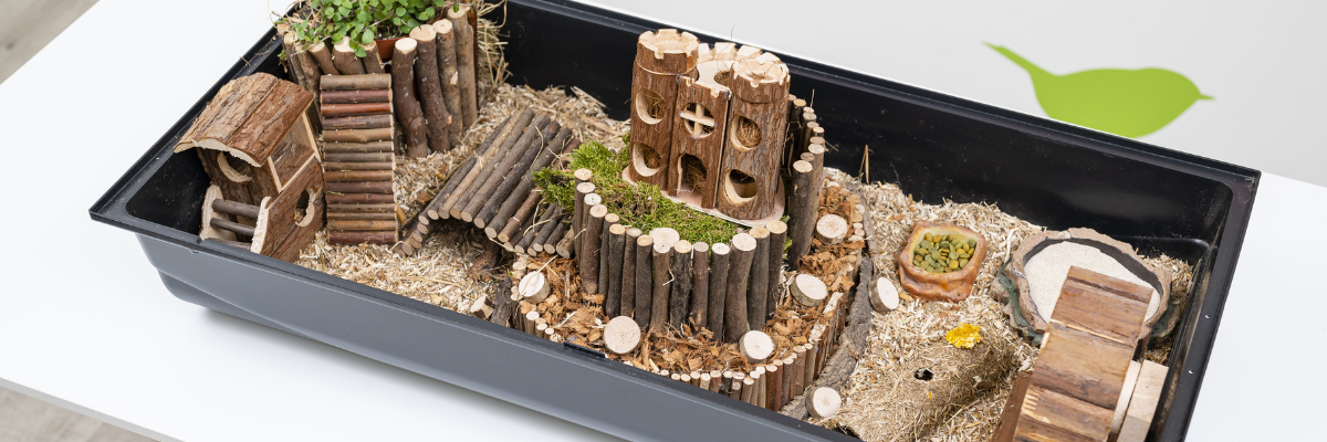 Hamsterscaping in 8 stappen