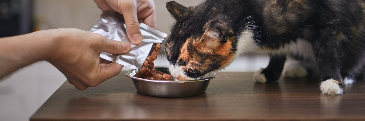 Mixed feeding: 5 mythes en waarheden
