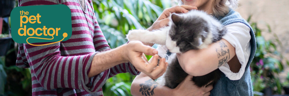 Supplementen voor je kat met artrose