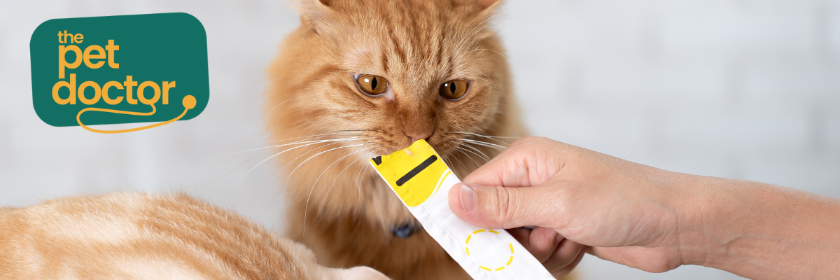 Welke hypoallergene snacks moet ik kiezen voor mijn kat?