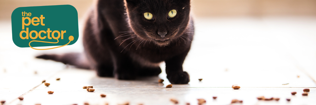 Gewrichtspijn bij je kat: snacks