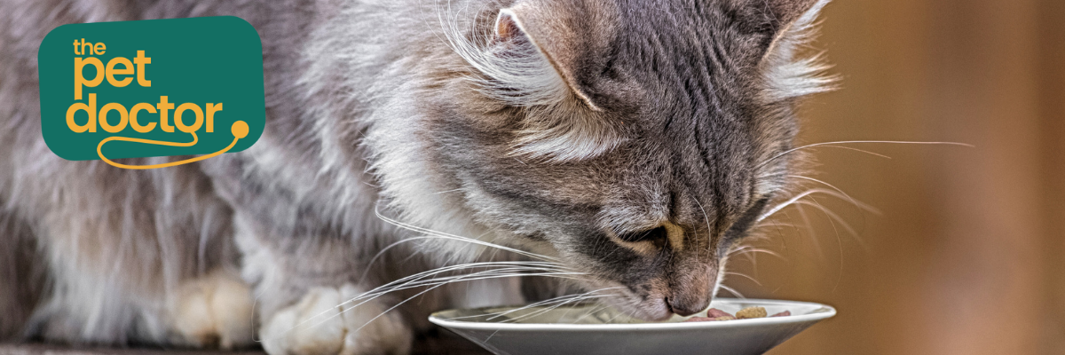 Mijn kat lust alleen maar natvoer, is dat gezond bij urinewegproblemen?