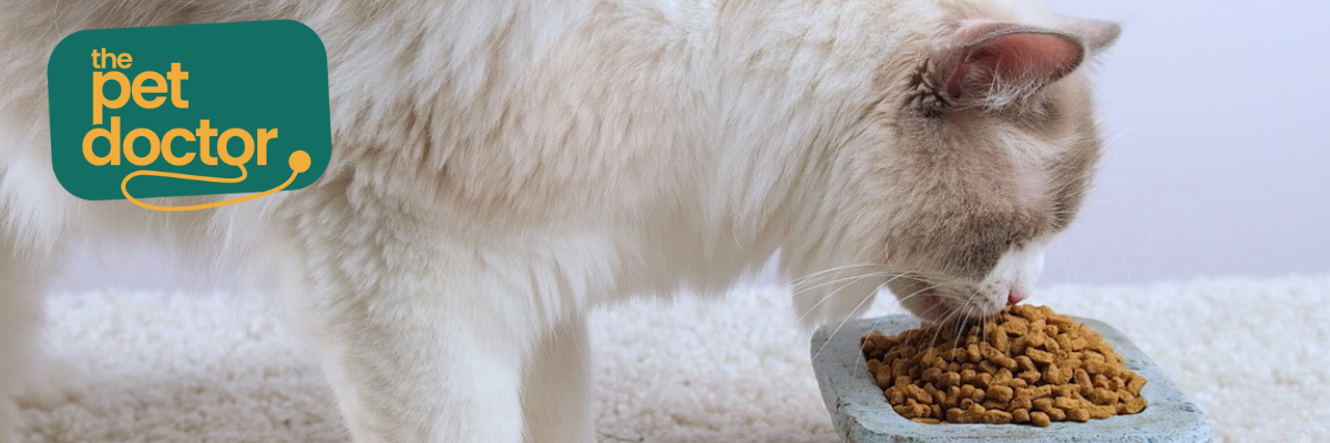 Mag mijn kat met overgewicht nog natvoer krijgen?