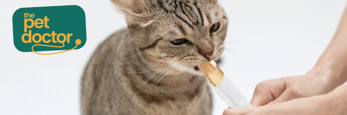 Supplementen voor je gesteriliseerde kat