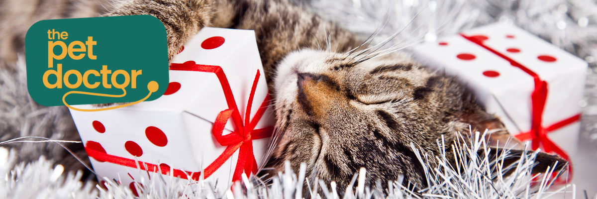 kat aan het slapen met haar cadeautjes