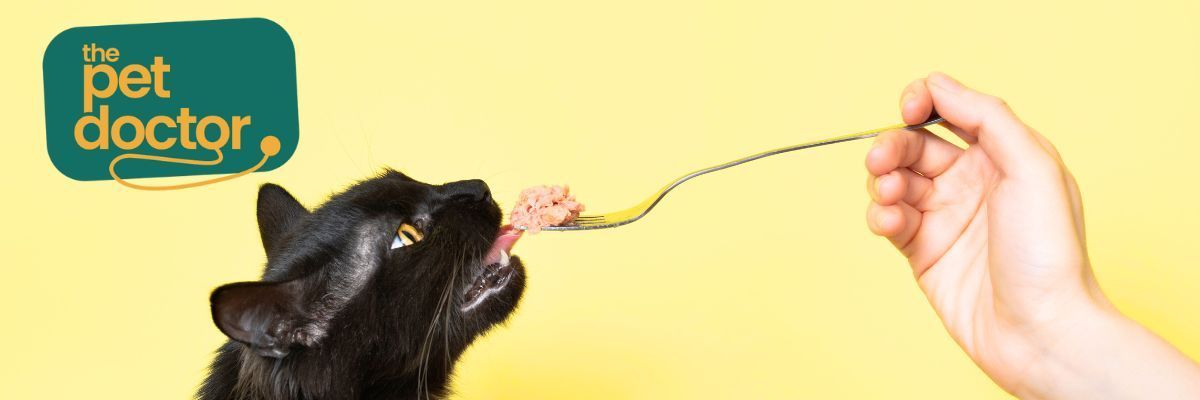 Voedingsadvies katten