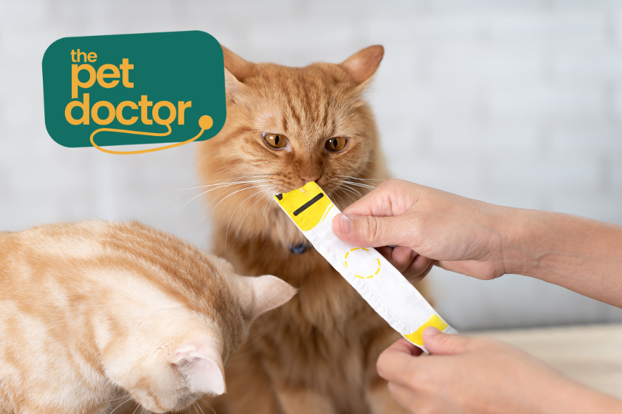Welke hypoallergene snacks moet ik kiezen voor mijn kat?