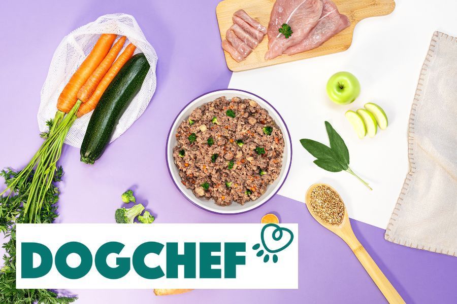 Gezond en vers hondenvoer van dog chef