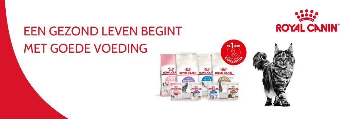 Ontdek de voordelen van Royal Canin voeding voor jouw kat of kitten.