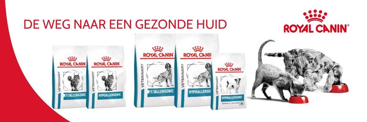 Ontdek hoe een eliminatiedieet met Royal Canin Anallergenic jouw hond of kat met een voedselovergevoeligheid kan helpen.