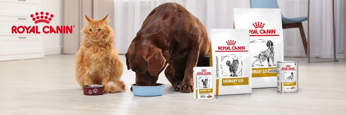 Royal Canin Urinary voeding hond en kat