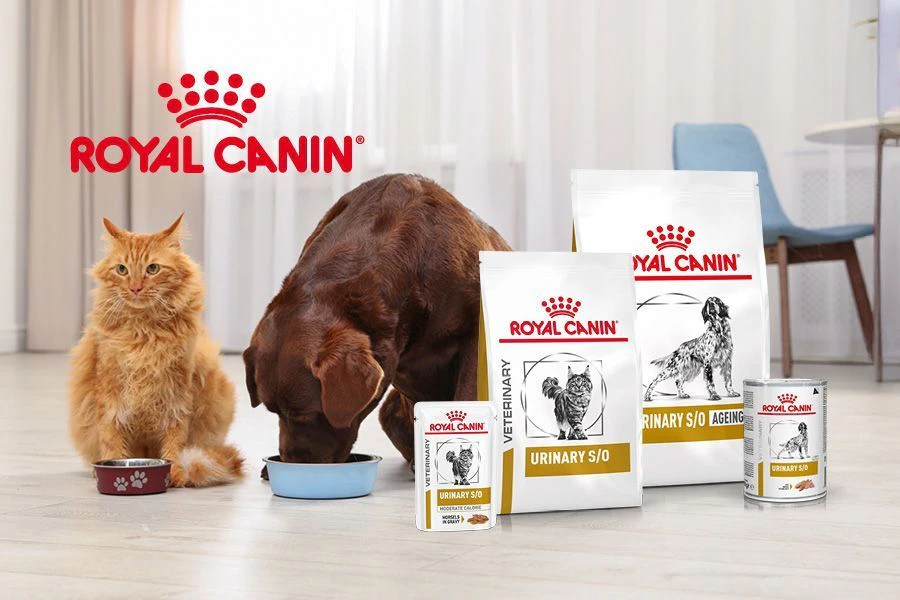Probl&egrave;mes urinaires chez le chien ou le chat : quelle alimentation Royal Canin choisir ?
