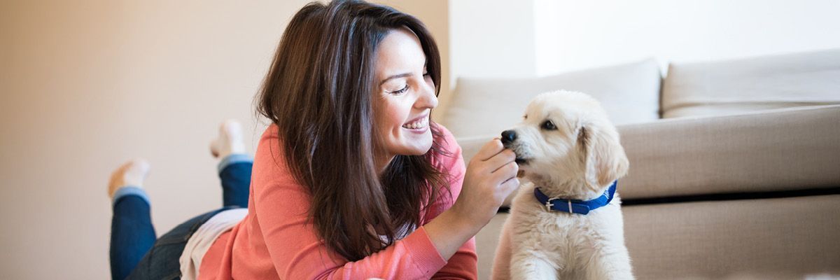 Comment bien accueillir un chiot ?