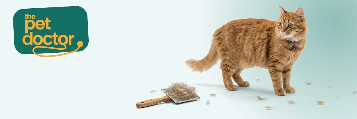kat verliest haar tijdens ruiperiode