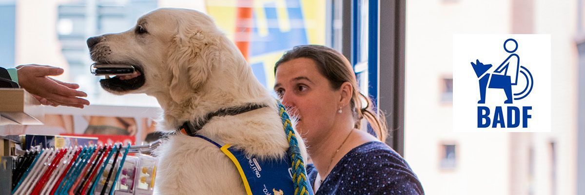 Chiens d’assistance : bienvenus partout !