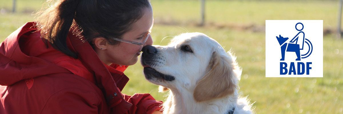 Le rôle essentiel des familles d’accueil : un premier foyer pour un futur héros 
