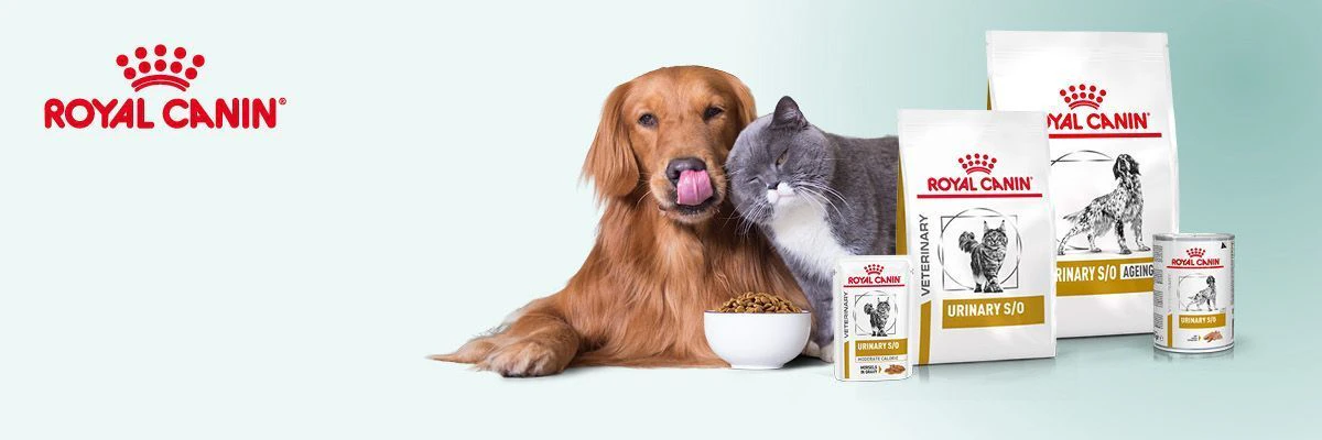 Alimentation urinaire pour chiens et chats : quand l’utiliser ?