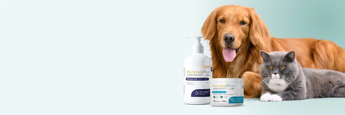 Supplementen voor honden en katten: wat zijn ze en wanneer zijn ze nuttig?