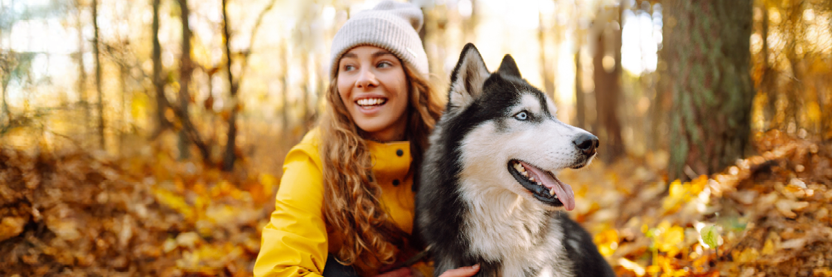 Husky geniet met zijn baasje van een frisse herfstwandeling