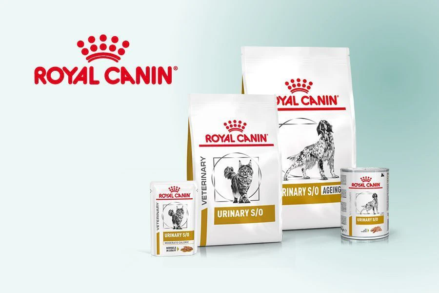 Alimentation urinaire pour chiens et chats : quand l’utiliser ?