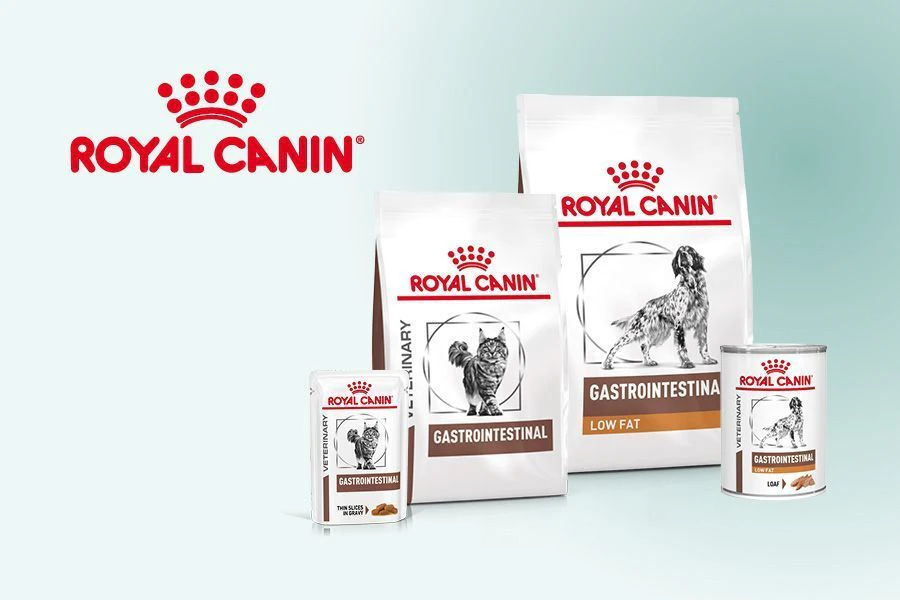 Royal Canin Gastrointestinal : alimentation pour chiens et chats souffrant de troubles digestifs