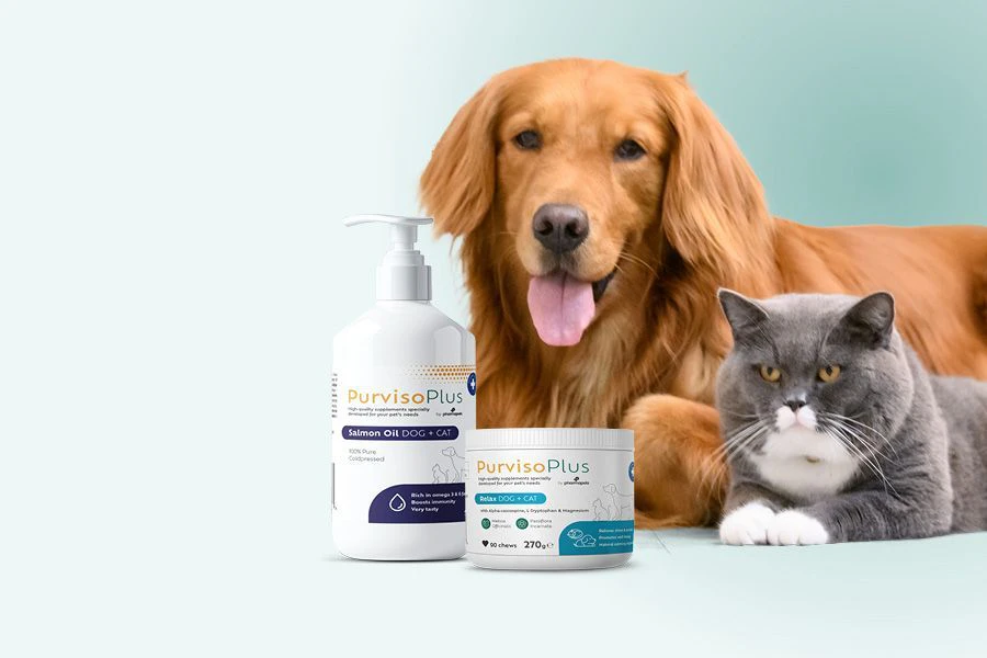 Supplementen voor honden en katten: wat zijn ze en wanneer zijn ze nuttig?