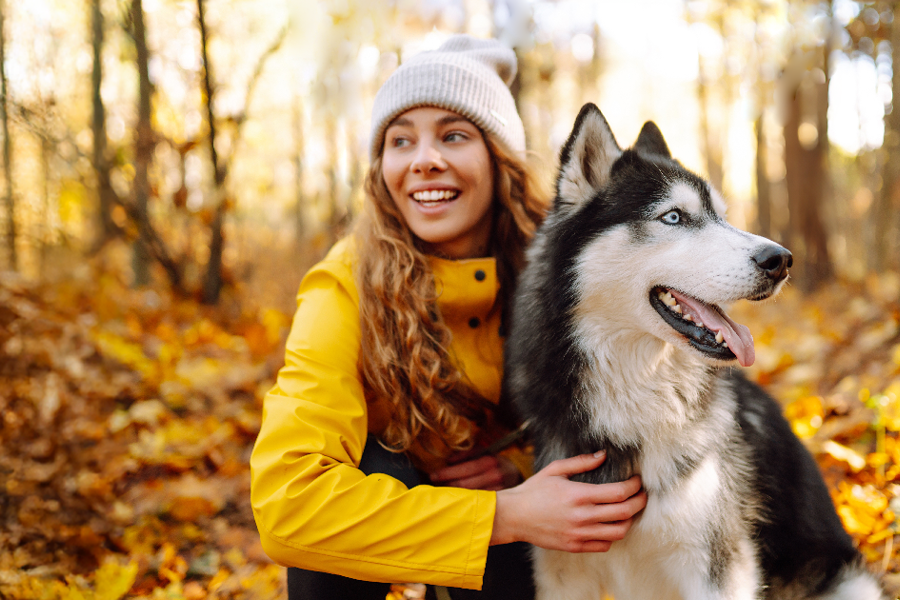 Husky geniet met zijn baasje van een frisse herfstwandeling