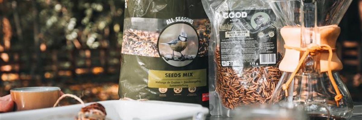 Tuinvogels zitten op een hand, op zoek naar eten