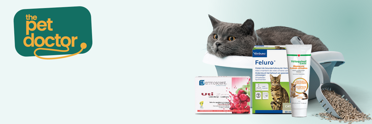 Compléments pour chats avec troubles urinaires