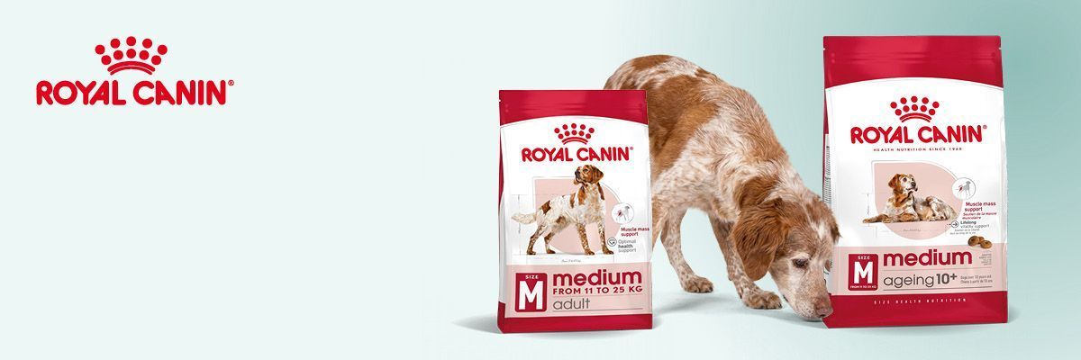 Stap op tijd over van adult naar senior voeding