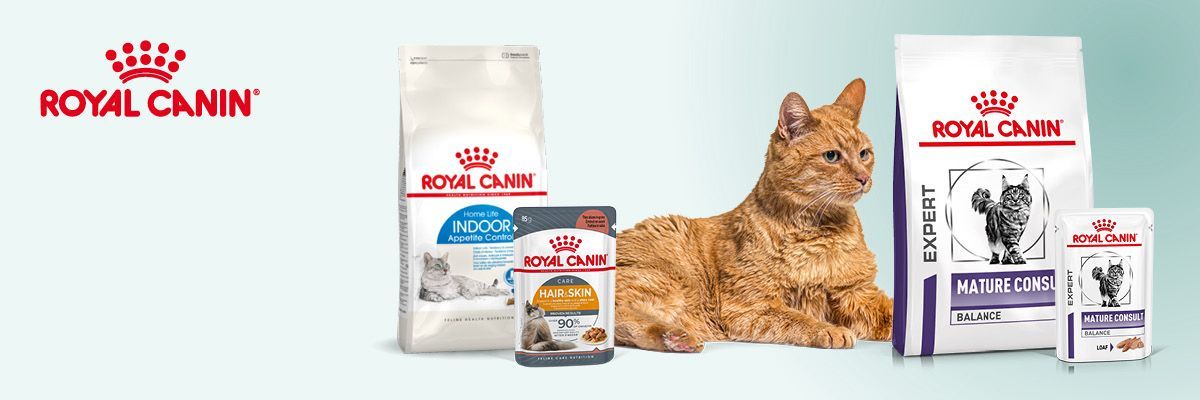 ondersteun je ouder wordende kat met senior voeding