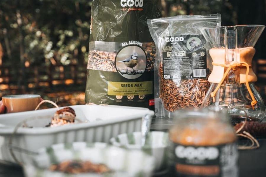 Tuinvogels zitten op een hand, op zoek naar eten