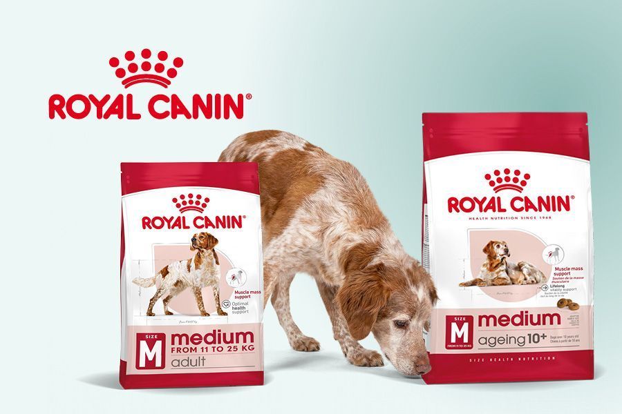 Stap op tijd over van adult naar senior voeding