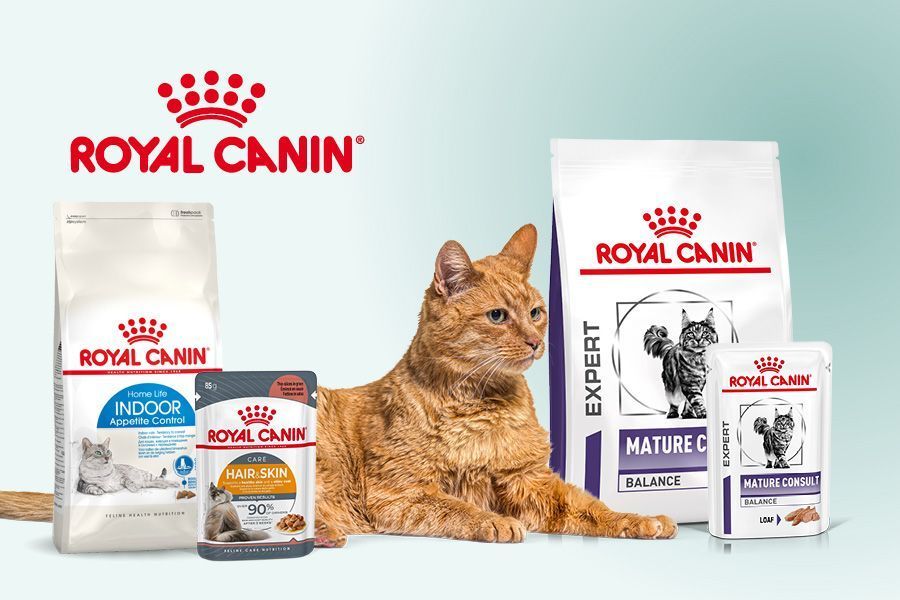 Soutiens ton chat vieillissant avec une alimentation Senior.