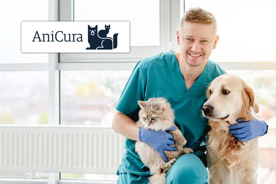 Senior hond en kat laten een gezondheidscheckuitvoeren bij de dierenarts