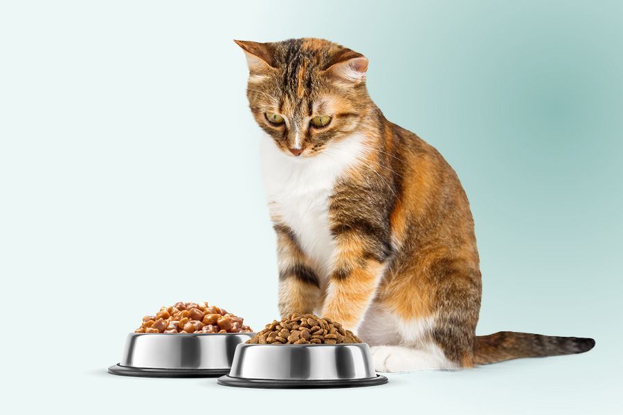 mixed feeding is de combinatie van nat en droogvoer