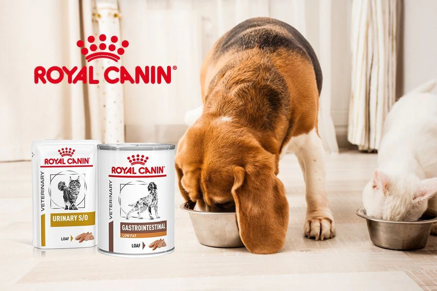 Royal Canin Natvoer voor hond en kat