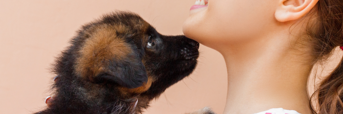 Faire stériliser/castrer son chiot