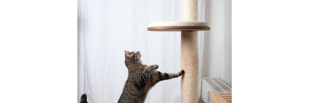 Waarom katten een krabpaal nodig hebben