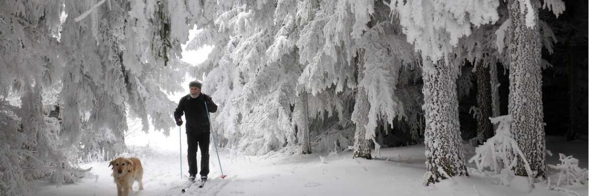 Comment profiter des sports d’hiver avec mon chien?