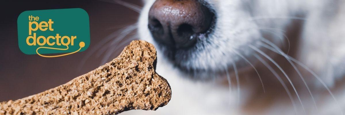 Mag ik mijn hond snacks geven? 