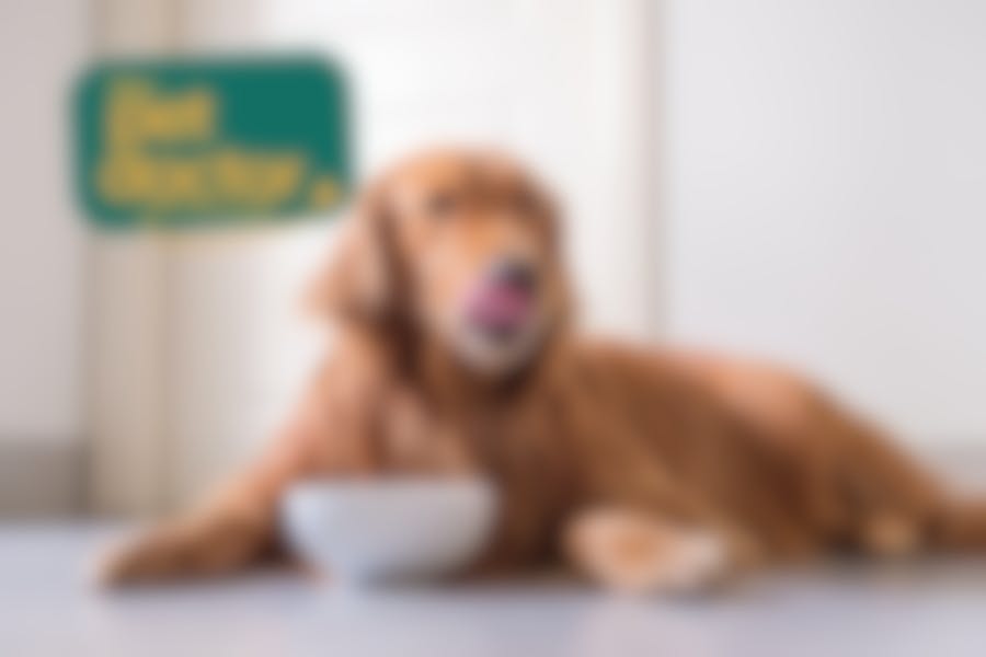 Kan mijn hond ook natvoer eten bij zijn hypoallergene voeding?