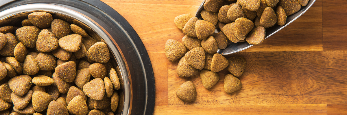 Gezondheidsvoeding en dieetvoeding voor de huid van je hond