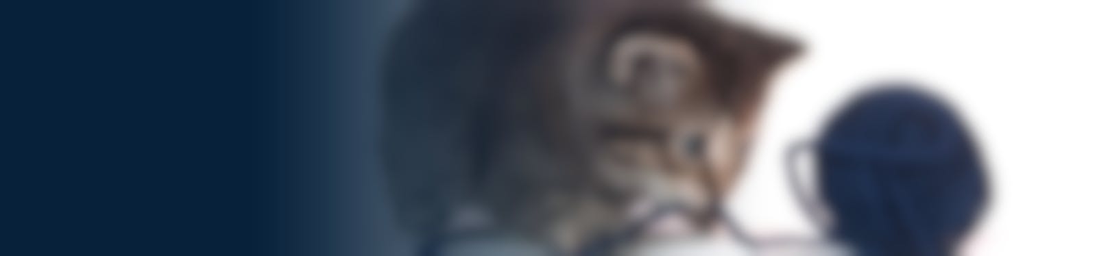 Trixie Abri Tipi pour chat 55 × 65 × 55 cm, Chat