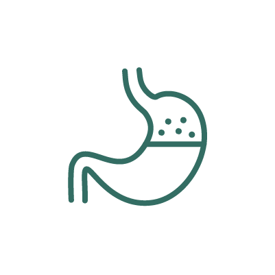 Spijsvertering & probiotica