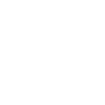 Furet
